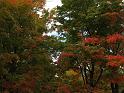 05102008 152032IMG1851